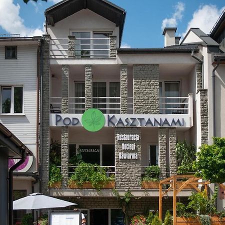 Willa Pod Kasztanami Piwniczna-Zdroj 外观 照片